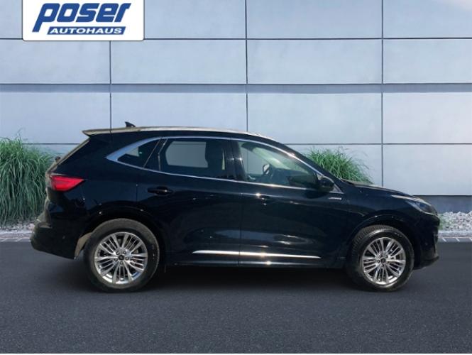 HNY74546_7.jpg